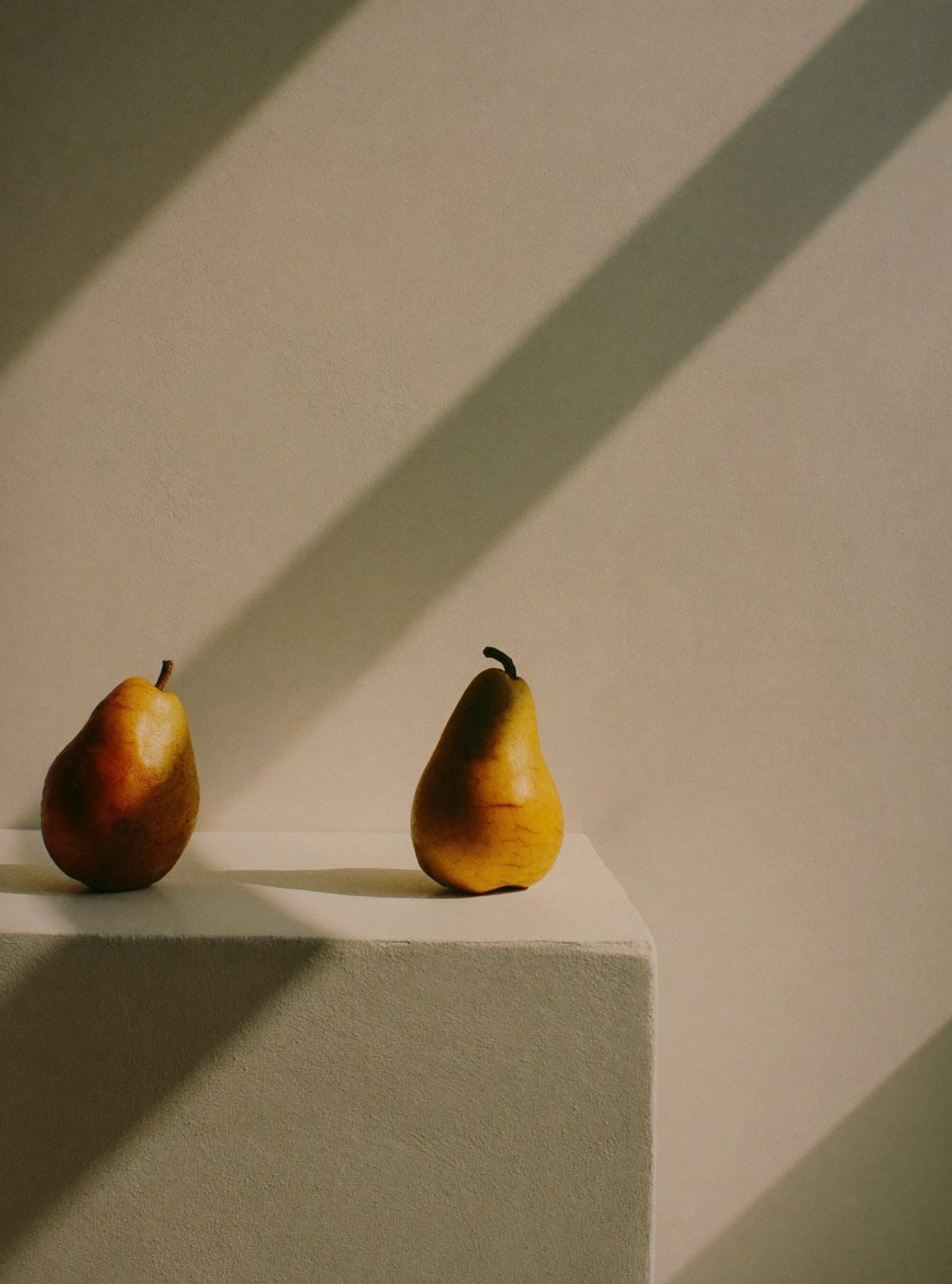 Two pears on a plinth in hard window light